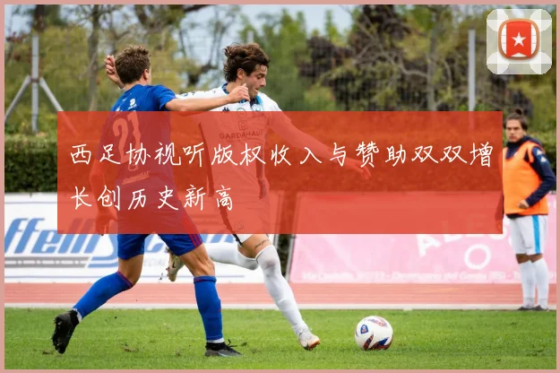 西足协视听版权收入与赞助双双增长创历史新高